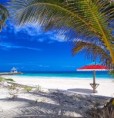 /album/fotogaleria-panama/panama-34-jpg/